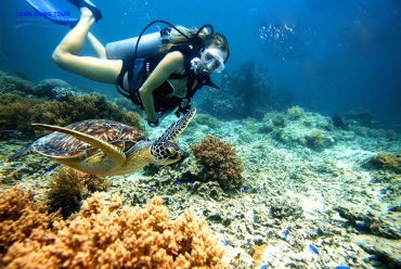 du-lich-cu-lao-cham-mt1