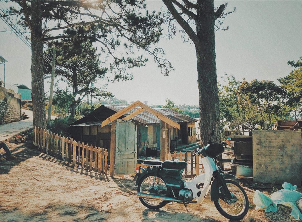 The Reply 1994 homestay